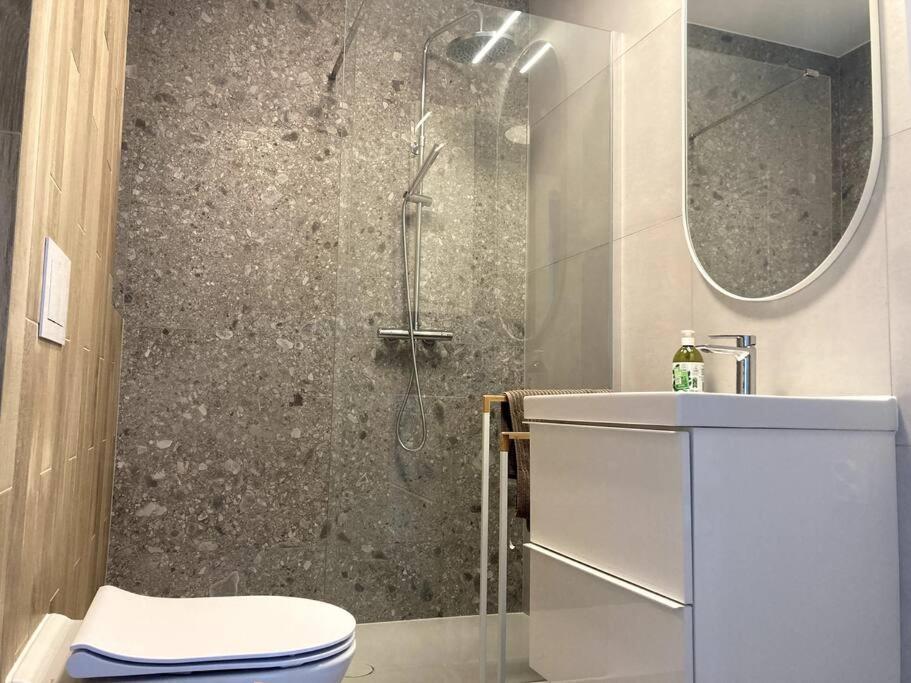 Sloneczny Apartament Z Garazem Przy Parku Kosciuszki Katowice Zewnętrze zdjęcie