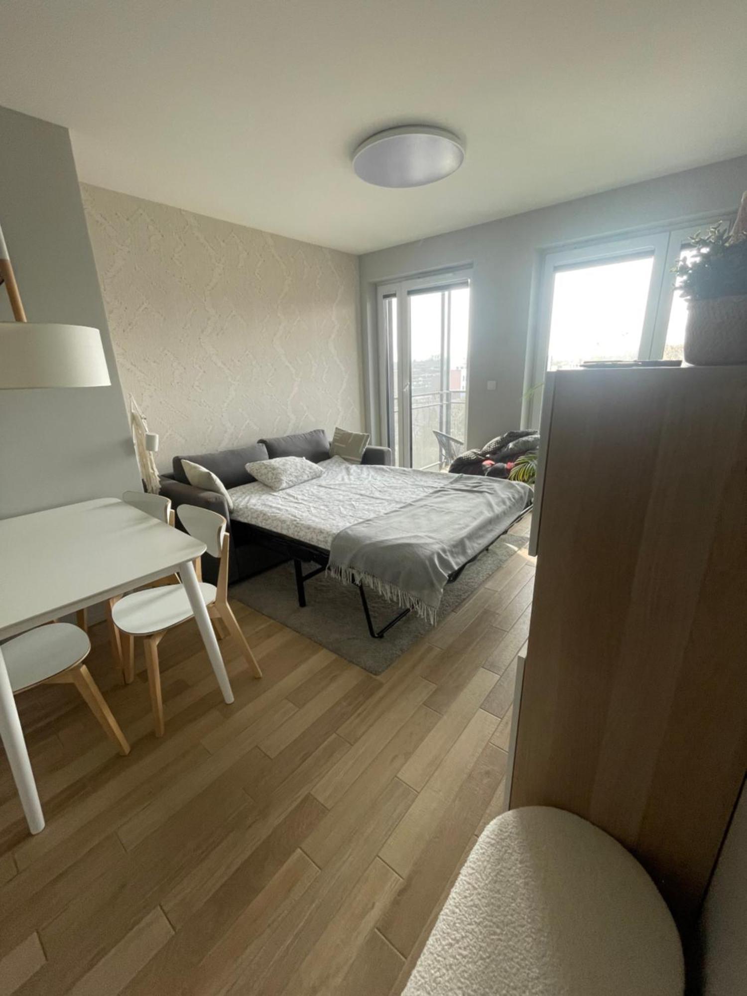 Sloneczny Apartament Z Garazem Przy Parku Kosciuszki Katowice Zewnętrze zdjęcie